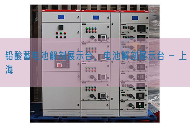 铅酸蓄电池解剖展示台,电池解剖展示台 - 上海(图1) 铅酸蓄电池解剖展示台,电池解剖展示台 - 上海(图1)