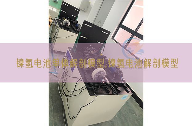 镍氢电池单体解剖模型,镍氢电池解剖模型(图1) 镍氢电池单体解剖模型,镍氢电池解剖模型(图1)